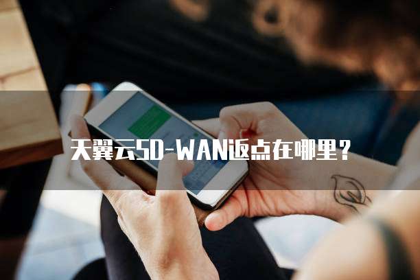 天翼云SD-WAN返点在哪里?
