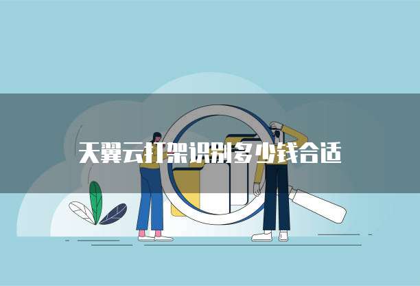 天翼云打架识别多少钱合适