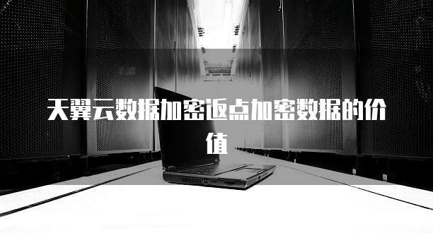 天翼云数据加密返点加密数据的价值