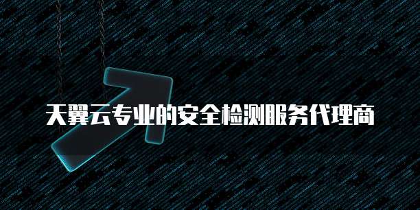 天翼云专业的安全检测服务代理商