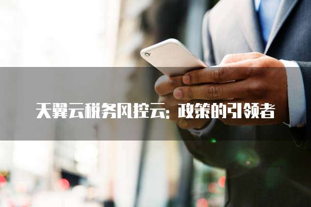 天翼云税务风控云: 政策的引领者