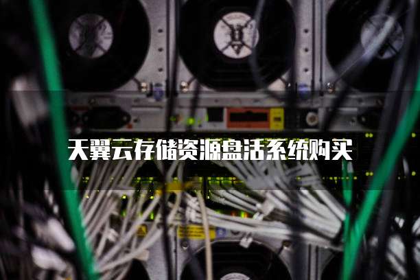 天翼云存储资源盘活系统购买