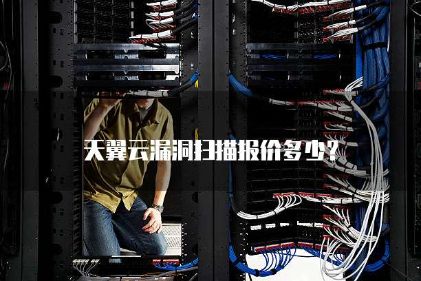天翼云漏洞扫描报价多少？