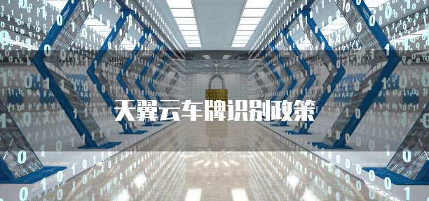 天翼云车牌识别政策
