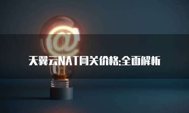 天翼云NAT网关价格:全面解析