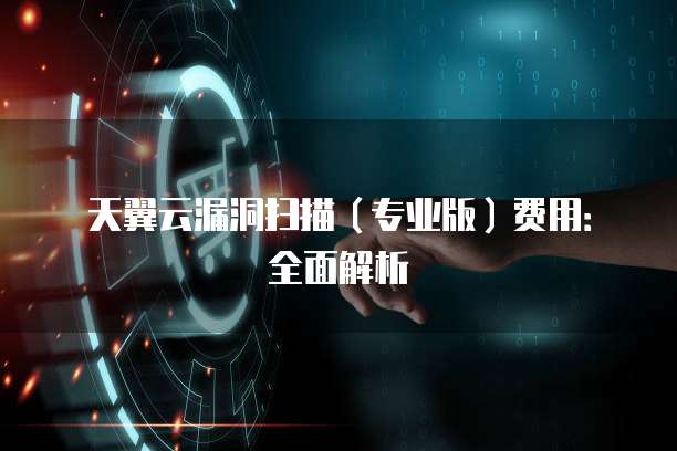天翼云漏洞扫描(专业版)费用:全面解析