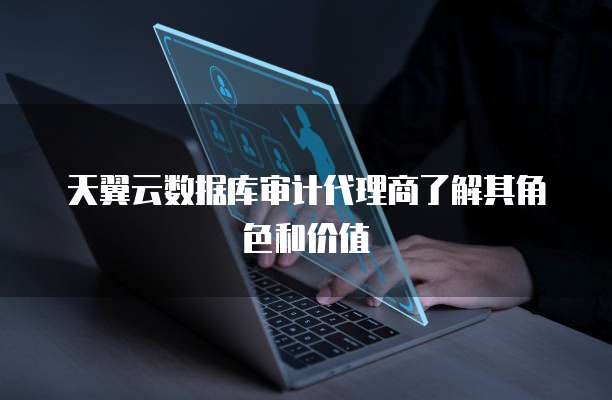 天翼云数据库审计代理商了解其角色和价值