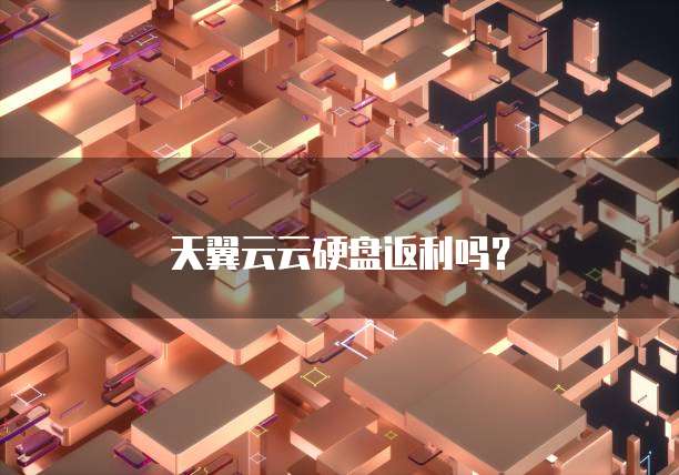 天翼云云硬盘返利吗?
