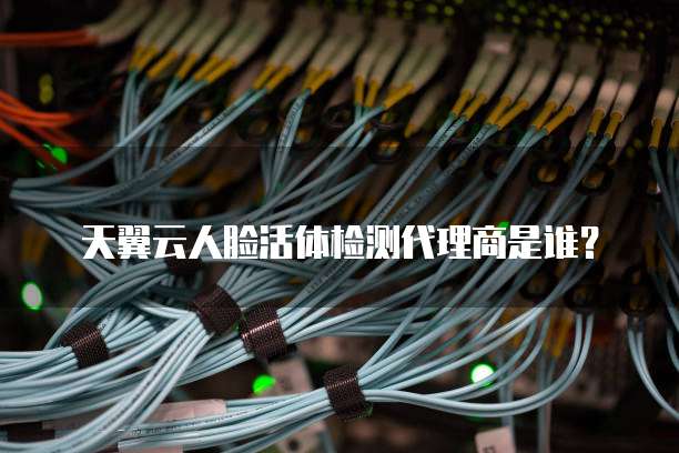 天翼云人脸活体检测代理商是谁?