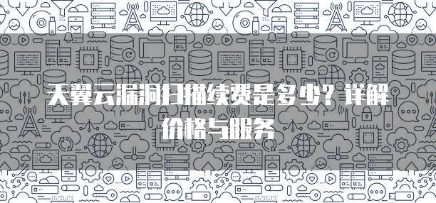 天翼云漏洞扫描续费是多少？详解价格与服务
