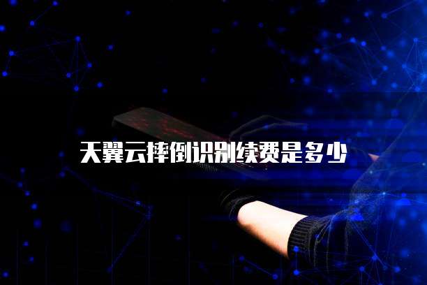 天翼云摔倒识别续费是多少