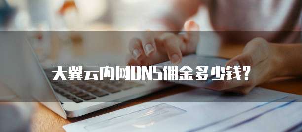 天翼云内网DNS佣金多少钱?