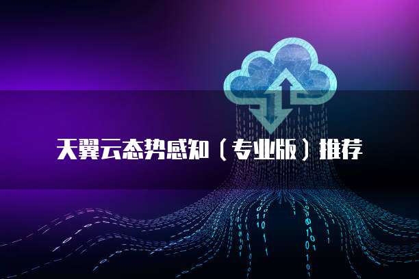 天翼云态势感知(专业版)推荐