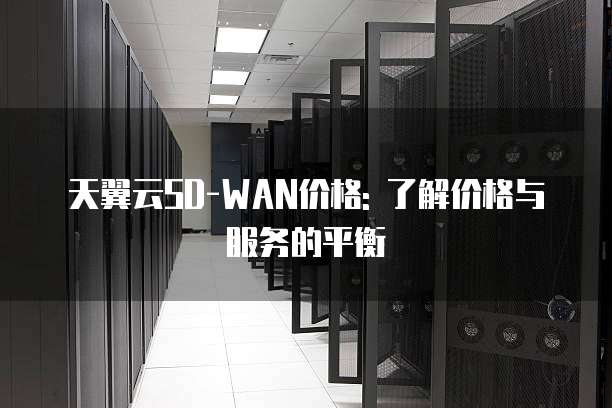 天翼云SD-WAN价格: 了解价格与服务的平衡