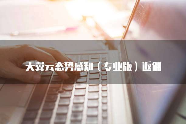 天翼云态势感知（专业版）返佣