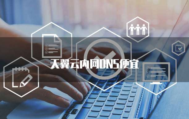 天翼云内网DNS便宜