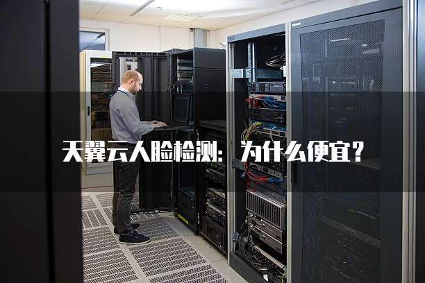 天翼云人脸检测:为什么便宜?
