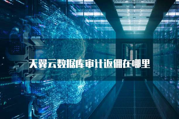 天翼云数据库审计返佣在哪里