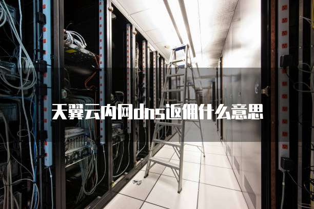 天翼云内网dns返佣什么意思