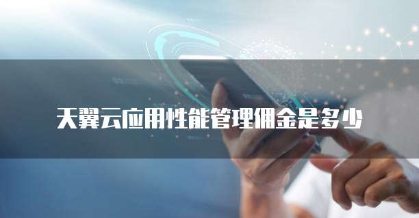 天翼云应用性能管理佣金是多少