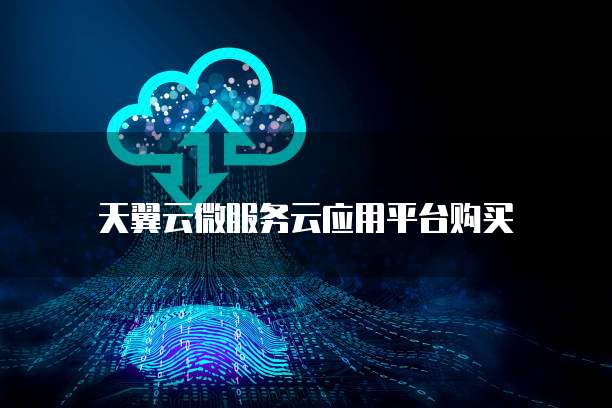 天翼云微服务云应用平台购买