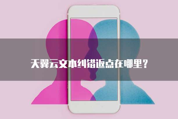 天翼云文本纠错返点在哪里?