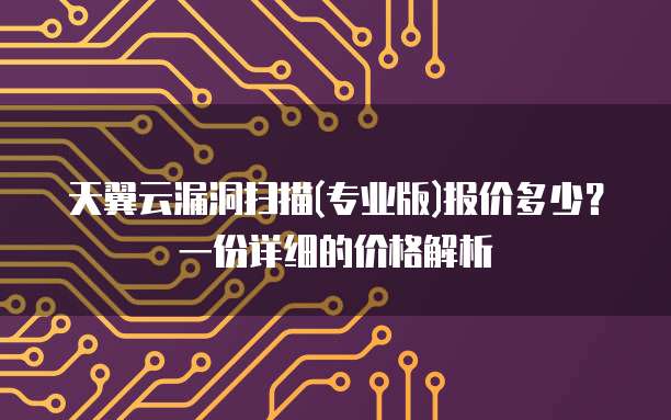 天翼云漏洞扫描(专业版)报价多少？一份详细的价格解析