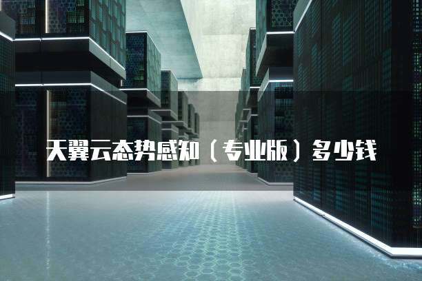 天翼云态势感知(专业版)多少钱