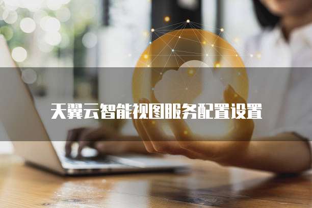 天翼云智能视图服务配置设置