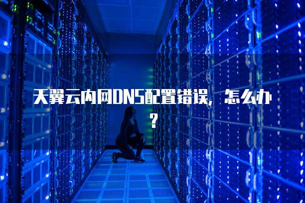 天翼云内网DNS配置错误,怎么办?