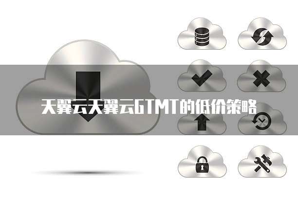 天翼云天翼云GTMT的低价策略