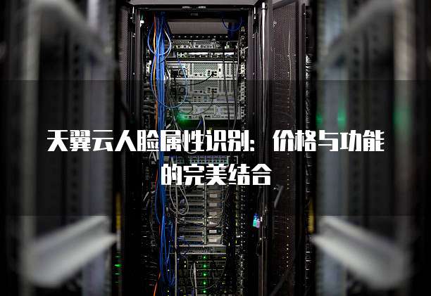 天翼云人脸属性识别:价格与功能的完美结合