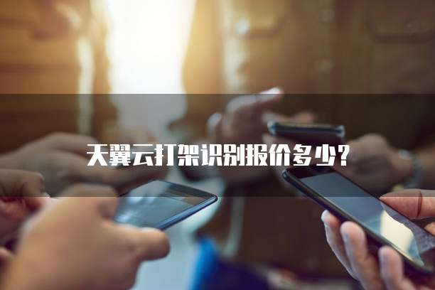 天翼云打架识别报价多少?