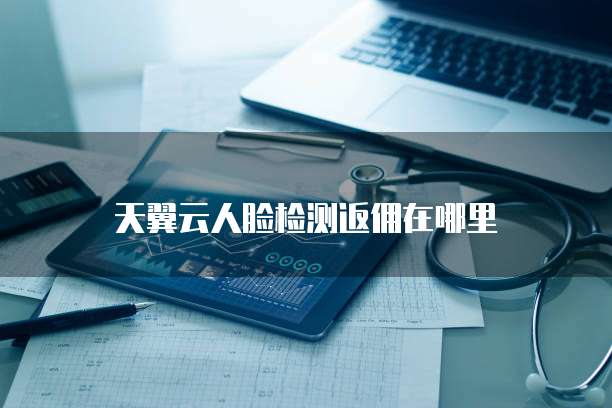 天翼云人脸检测返佣在哪里