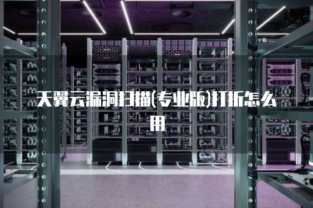 天翼云漏洞扫描(专业版)打折怎么用
