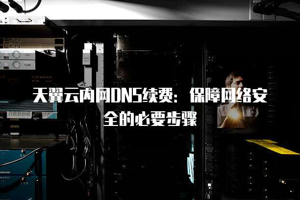 天翼云内网DNS续费：保障网络安全的必要步骤