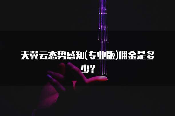 天翼云态势感知(专业版)佣金是多少?