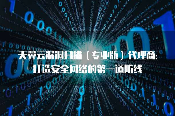 天翼云漏洞扫描(专业版)代理商:打造安全网络的第一道防线