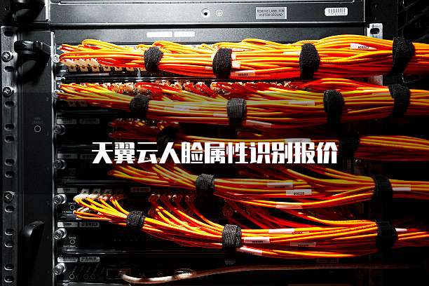 天翼云人脸属性识别报价