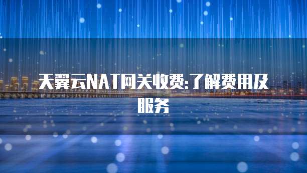 天翼云NAT网关收费:了解费用及服务