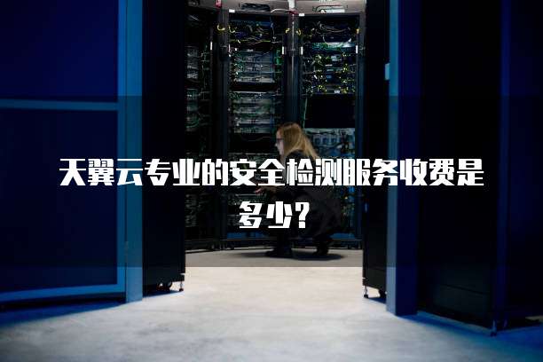 天翼云专业的安全检测服务收费是多少?