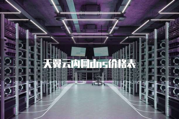 天翼云内网dns价格表