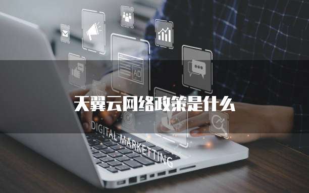 天翼云网络政策是什么