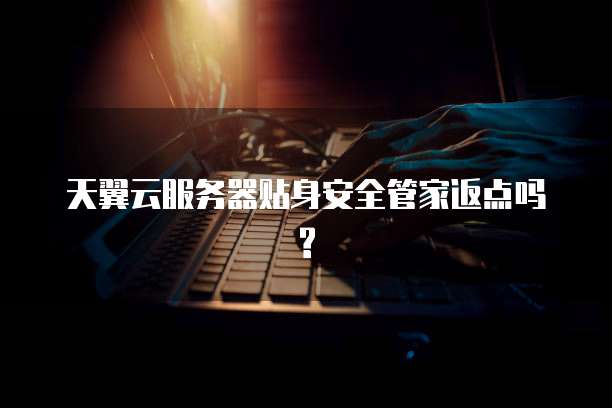 天翼云服务器贴身安全管家返点吗?