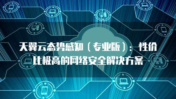 天翼云态势感知(专业版):性价比极高的网络安全解决方案