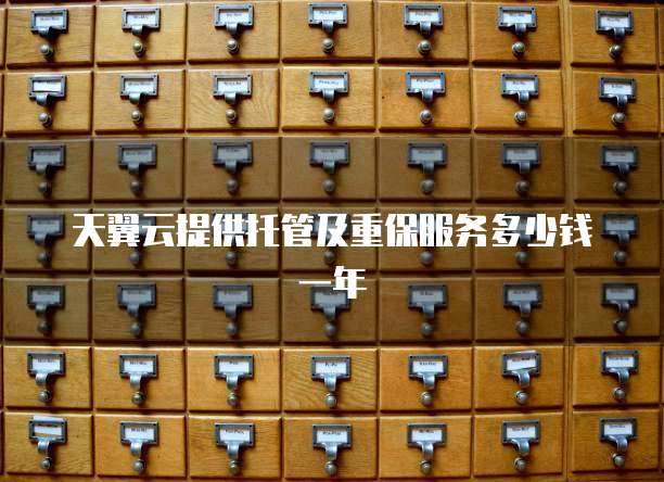 天翼云提供托管及重保服务多少钱一年