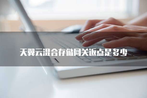 天翼云混合存储网关返点是多少