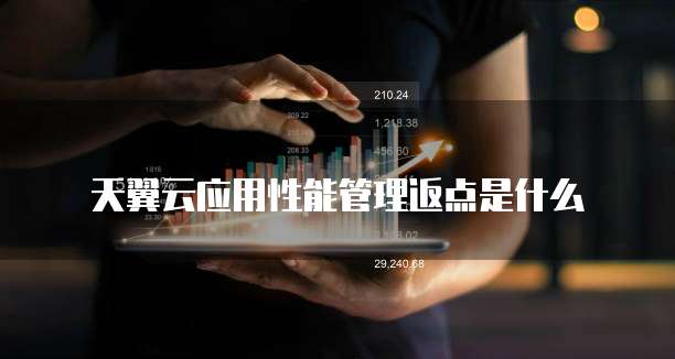 天翼云应用性能管理返点是什么