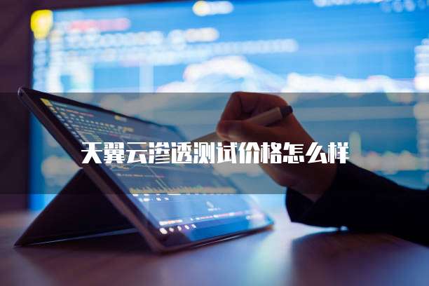 天翼云渗透测试价格怎么样