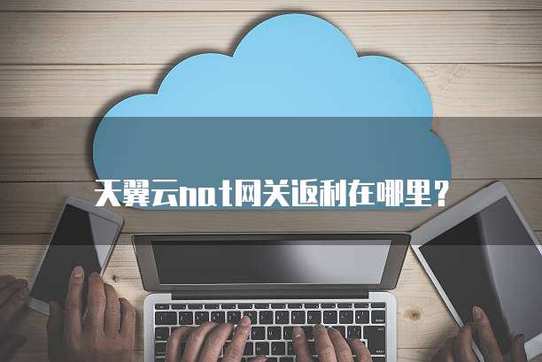 天翼云nat网关返利在哪里?